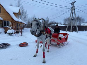 Новый Год 2022(2)