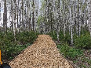 Субботник 05.2022г. (03)